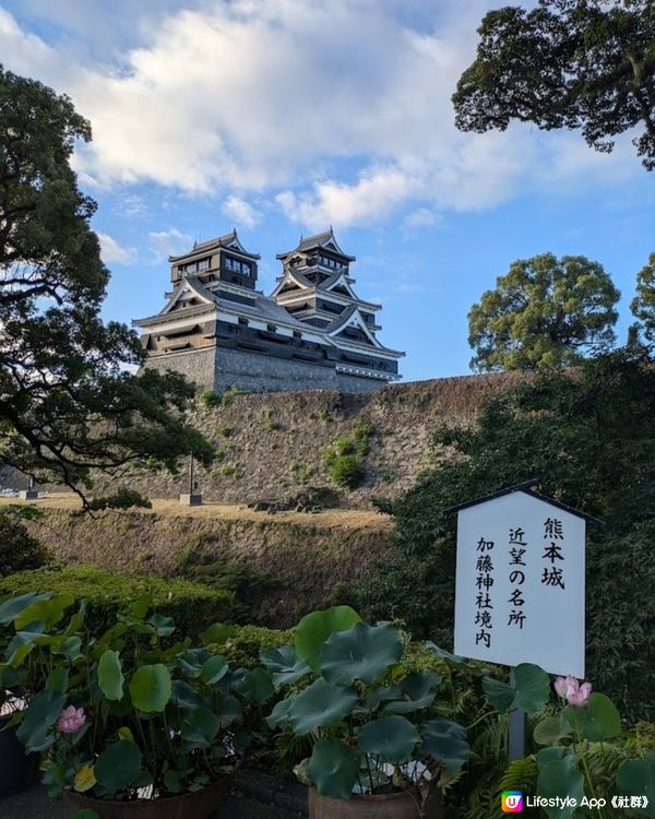 熊本城修復中