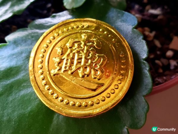 🥳人日快樂🎂🎉  媽咪生日快樂！