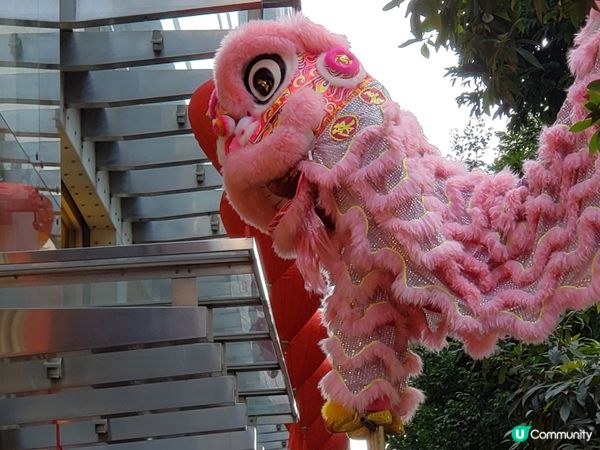 🥳人日快樂🎂🎉  媽咪生日快樂！