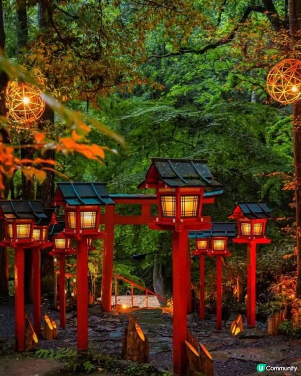 ✨️日本和歌山 😍✨️