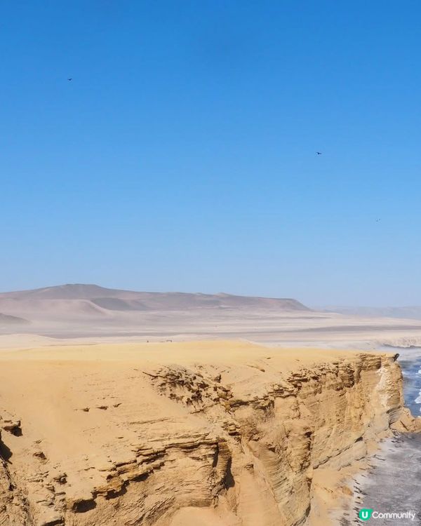 ［南美洲旅遊］秘魯帕拉加斯