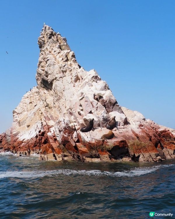 ［南美洲旅遊］秘魯帕拉加斯