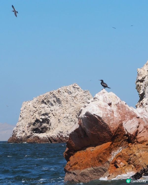 ［南美洲旅遊］秘魯帕拉加斯