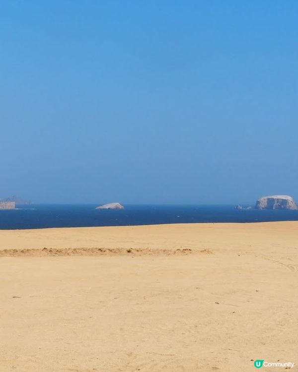 ［南美洲旅遊］秘魯帕拉加斯