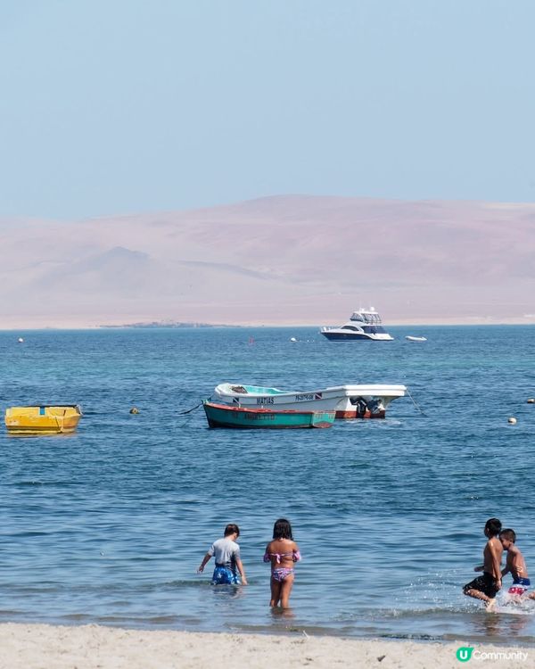 ［南美洲旅遊］秘魯帕拉加斯