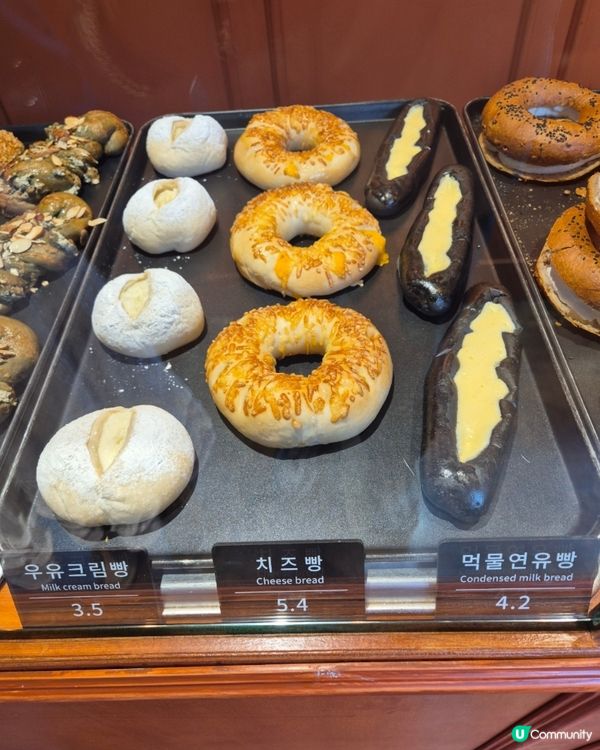 🇰🇷鐘路三街 超好食麵包店發現推薦👍🏻咖啡控&蒜蓉控