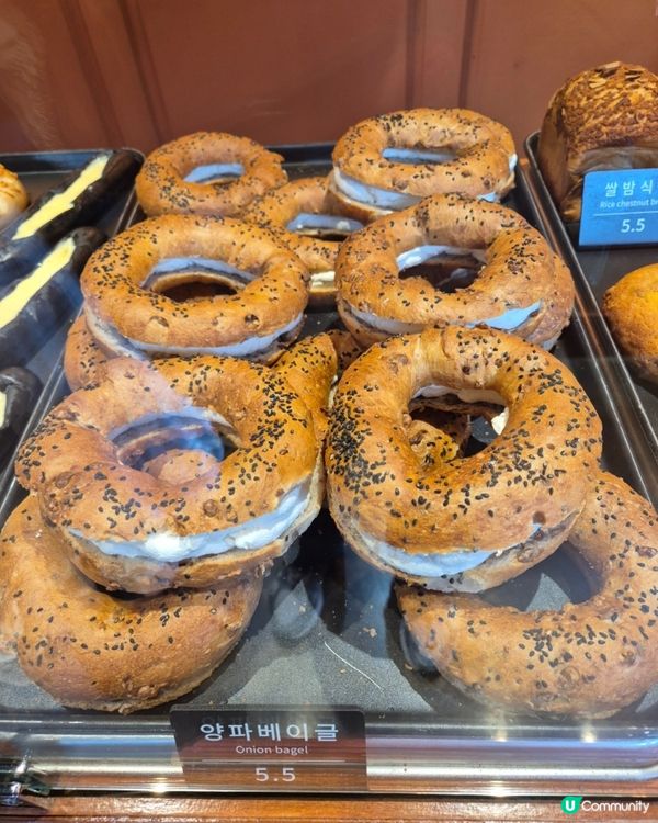 🇰🇷鐘路三街 超好食麵包店發現推薦👍🏻咖啡控&蒜蓉控