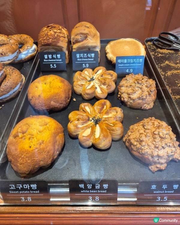 🇰🇷鐘路三街 超好食麵包店發現推薦👍🏻咖啡控&蒜蓉控