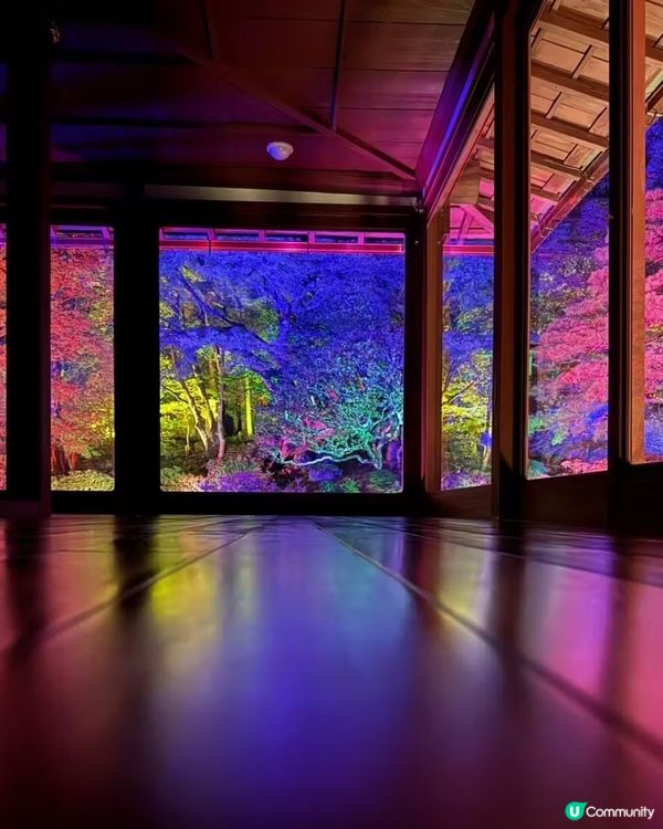 關西絕美隱世打卡點