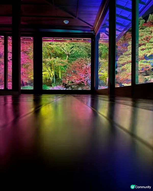 關西絕美隱世打卡點