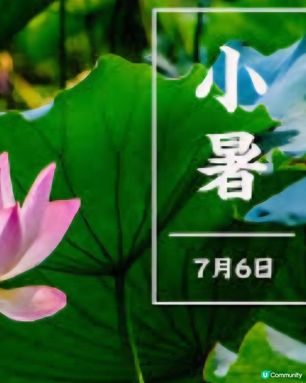 7月7日小暑留意