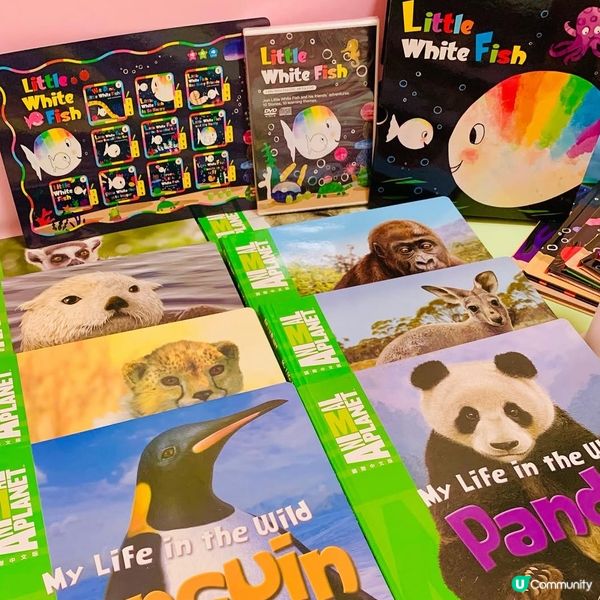 黃金發展期必備！📚 抵玩教材推介！👶🏻✨