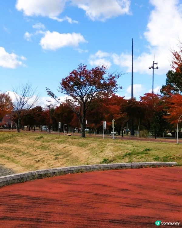 諏訪湖賞富士山🗻！秋冬限定靚景📸！