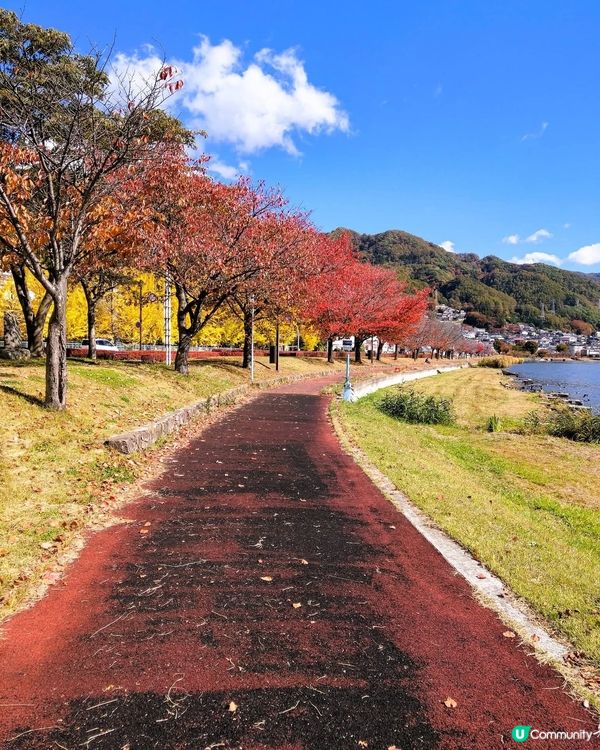 諏訪湖賞富士山🗻！秋冬限定靚景📸！
