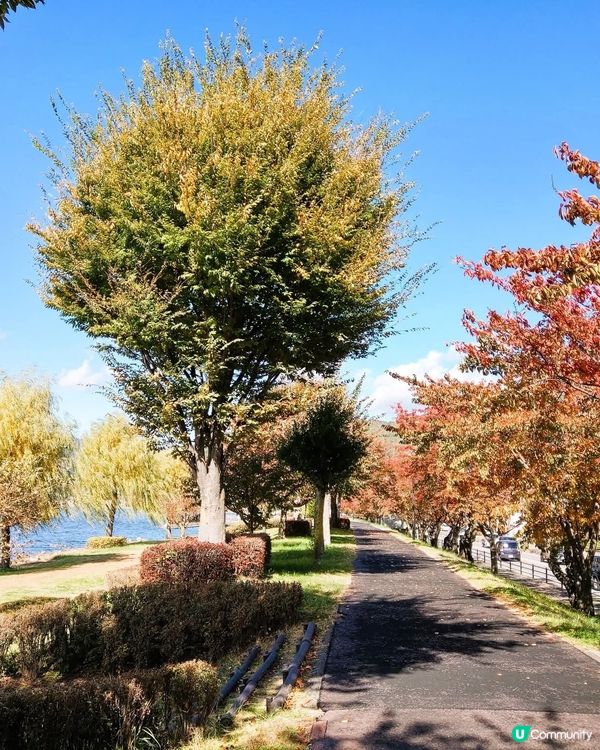 諏訪湖賞富士山🗻！秋冬限定靚景📸！