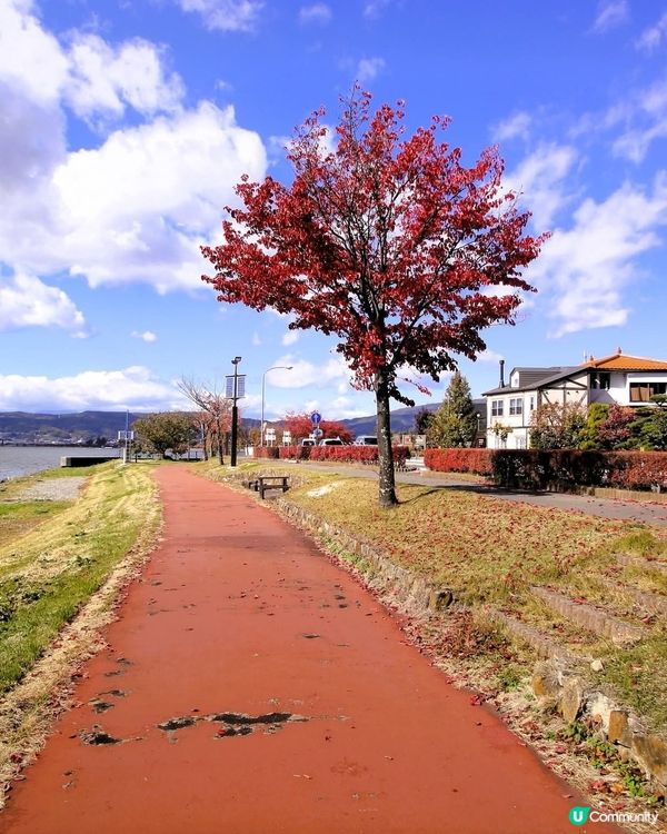 諏訪湖賞富士山🗻！秋冬限定靚景📸！