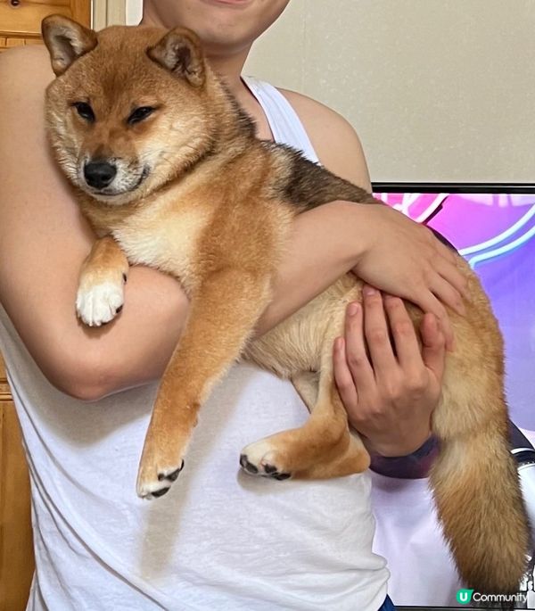 我就係肥 望咩望呀！