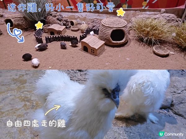 推薦🥰 商場內的雨林生態植物園 🦥🐥🐰🐑🦚🌿