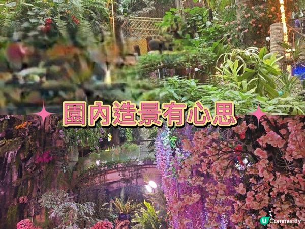 推薦🥰 商場內的雨林生態植物園 🦥🐥🐰🐑🦚🌿