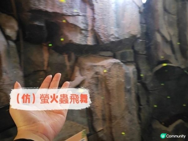 推薦🥰 商場內的雨林生態植物園 🦥🐥🐰🐑🦚🌿