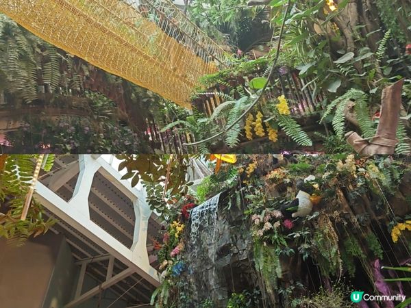 推薦🥰 商場內的雨林生態植物園 🦥🐥🐰🐑🦚🌿