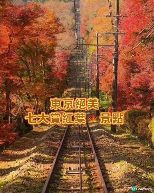 東京絕美七大賞楓景點😍😍一定要mark
