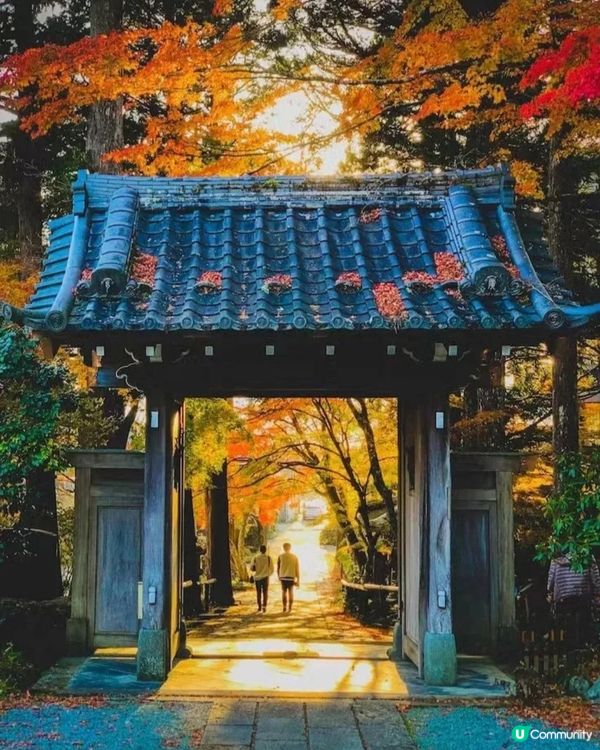 東京絕美七大賞楓景點😍😍一定要mark