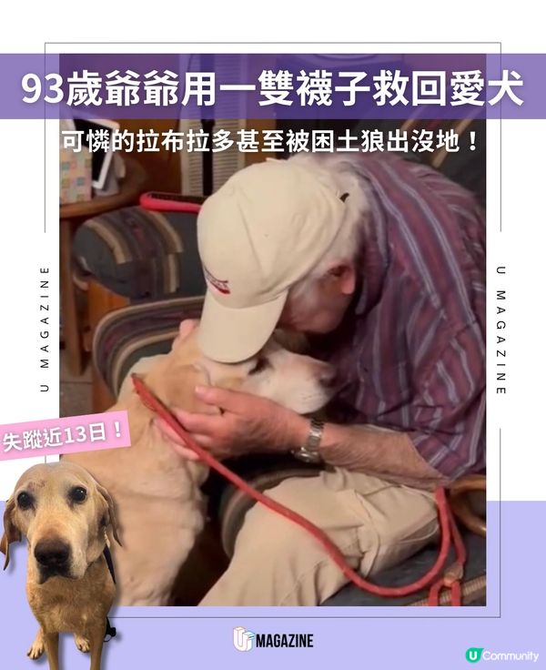93歲爺爺的「原味」呼喚！一雙襪子救回愛犬！