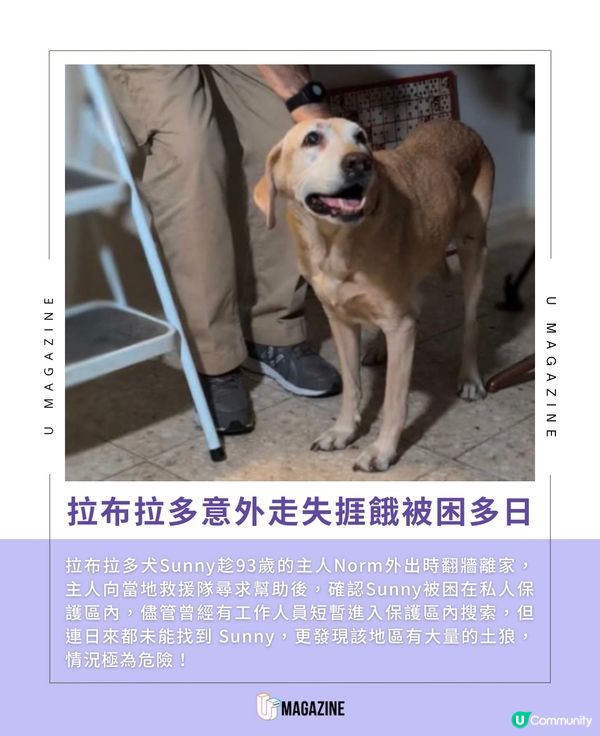 93歲爺爺的「原味」呼喚！一雙襪子救回愛犬！