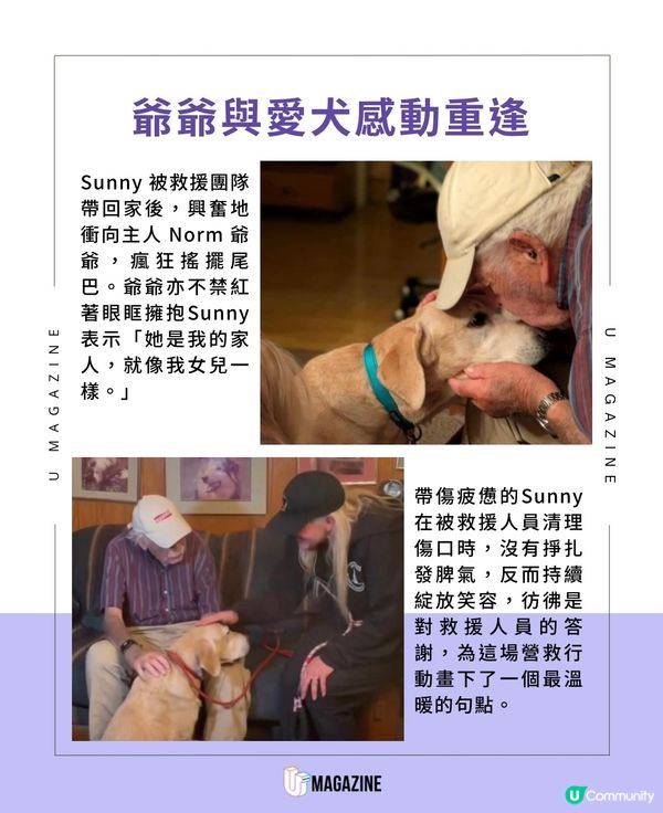 93歲爺爺的「原味」呼喚！一雙襪子救回愛犬！