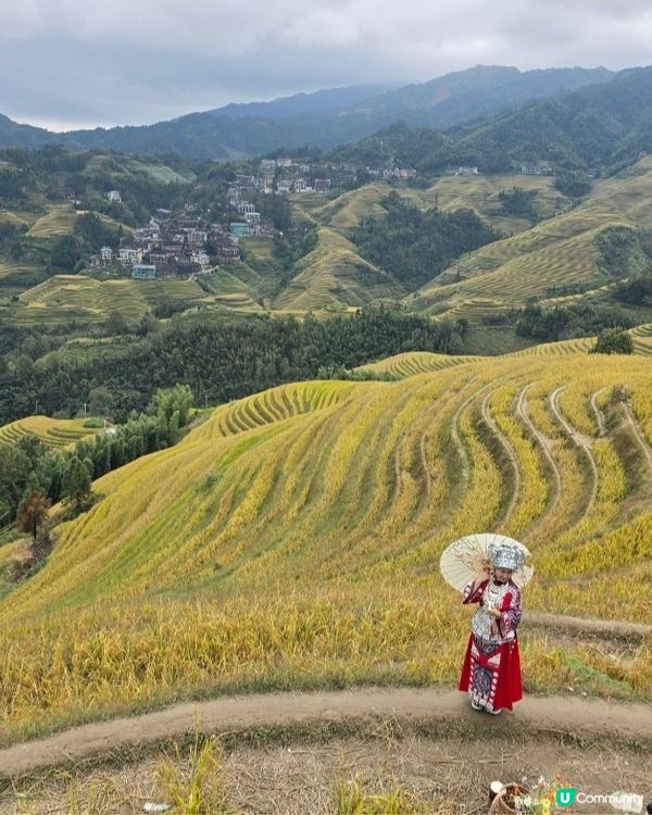 壯觀梯田