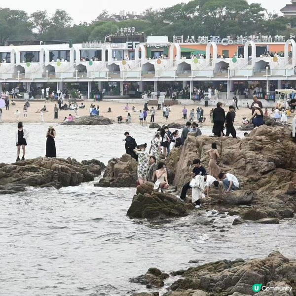 碧螺塔，海上尋歡 🌊💃