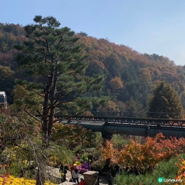 ［首爾］和談林🍁秋天必到景點｜照顧心靈健康