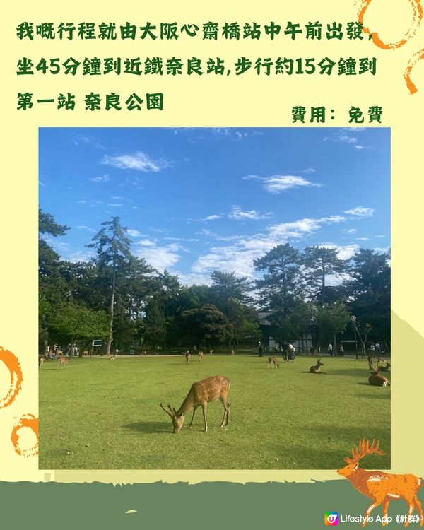 奈良1日遊行程🦌大阪京都近郊必去❤️45分鐘即達 附餐廳推薦