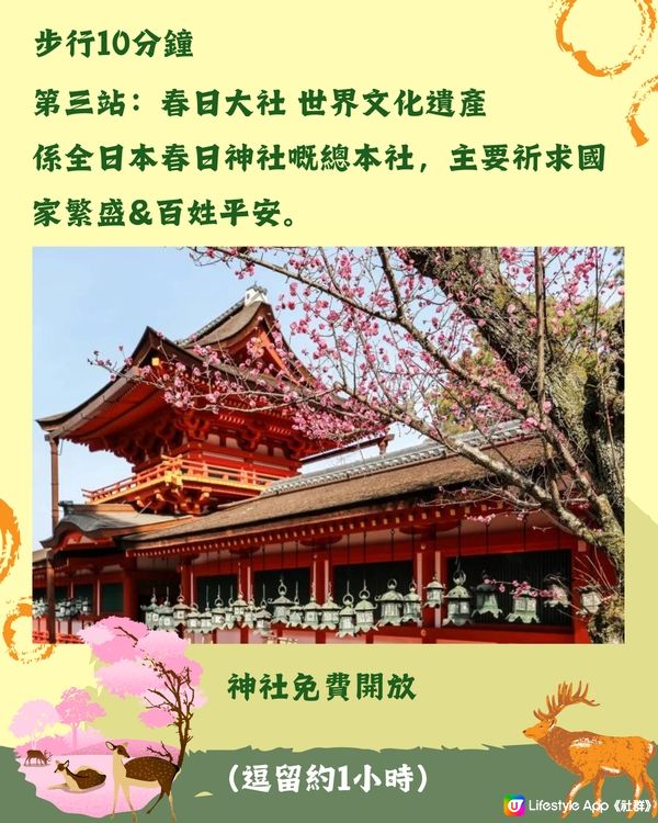 奈良1日遊行程🦌大阪京都近郊必去❤️45分鐘即達 附餐廳推薦