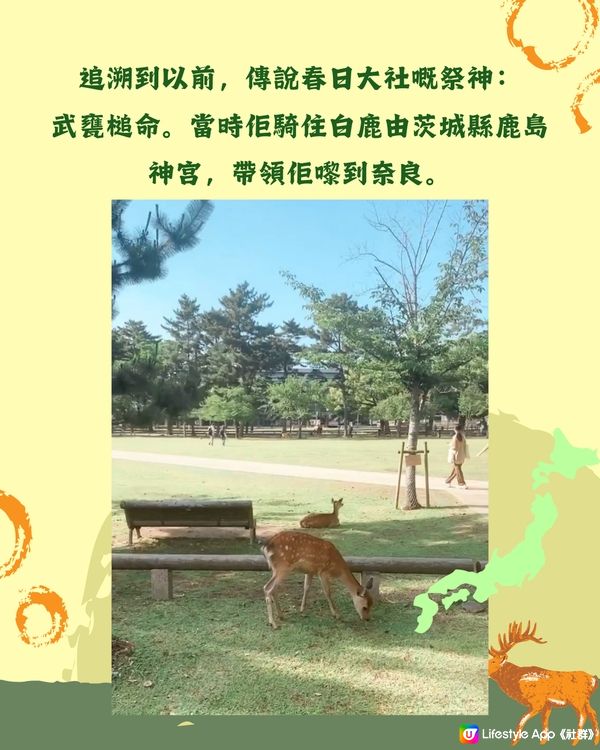 奈良1日遊行程🦌大阪京都近郊必去❤️45分鐘即達 附餐廳推薦