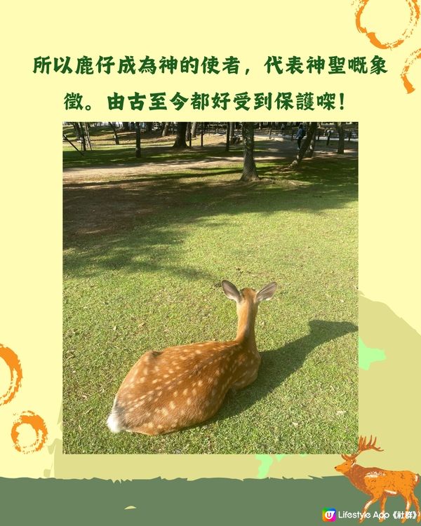 奈良1日遊行程🦌大阪京都近郊必去❤️45分鐘即達 附餐廳推薦