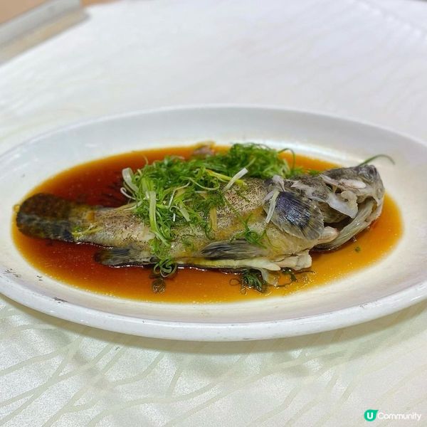 西貢❤️米芝蓮推薦❤️海鮮中菜館🦞🐟🦪