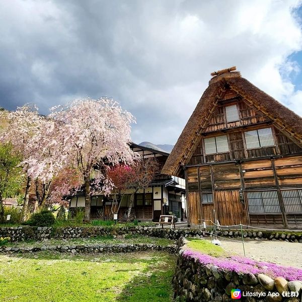 🛖住日本世界遺產白川鄉合掌屋🤩🛖