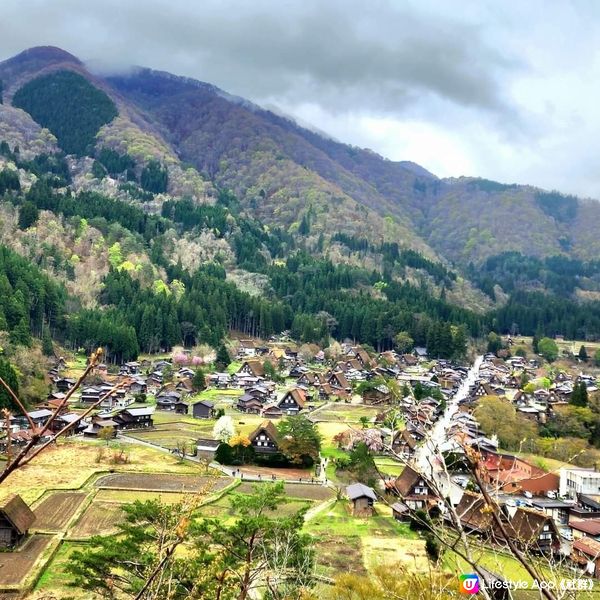 🛖住日本世界遺產白川鄉合掌屋🤩🛖