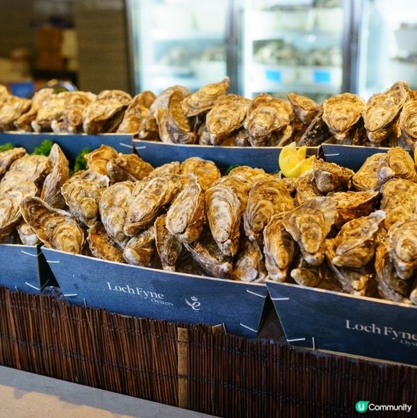 3月壽星望哩邊！Mr Steak Buffet優惠✅