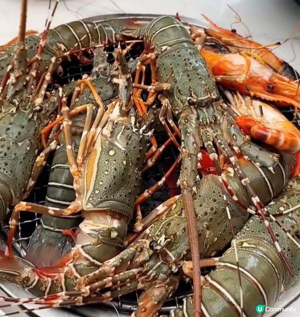 游水大頭蝦任食放題