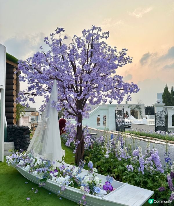 深圳龍岡關於藍打卡cafe場景又更新啦💜超浪漫羅馬風許願池⛲️