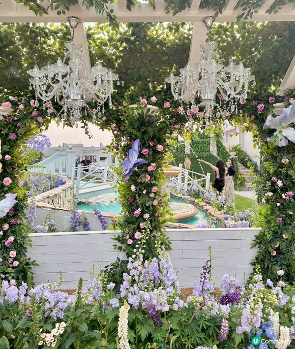 深圳龍岡關於藍打卡cafe場景又更新啦💜超浪漫羅馬風許願池⛲️