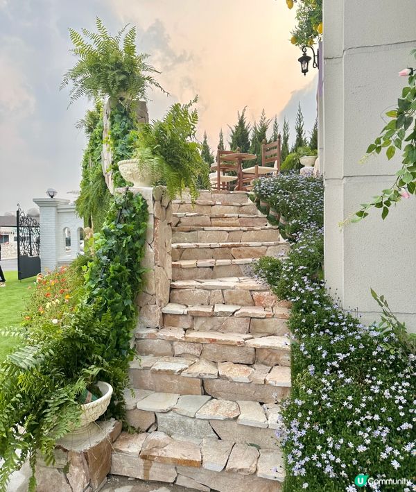 深圳龍岡關於藍打卡cafe場景又更新啦💜超浪漫羅馬風許願池⛲️