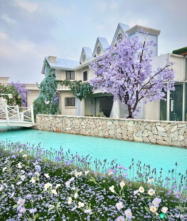 深圳龍岡關於藍打卡cafe場景又更新啦💜超浪漫羅馬風許願池⛲️