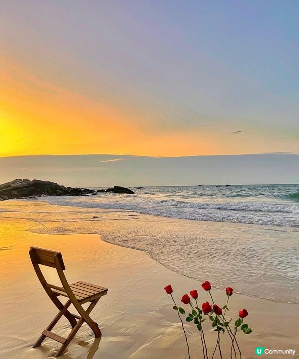 情人節的氛圍感照片 是玫瑰和大海給的革