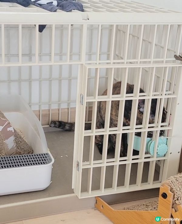 到底發生過什麼事