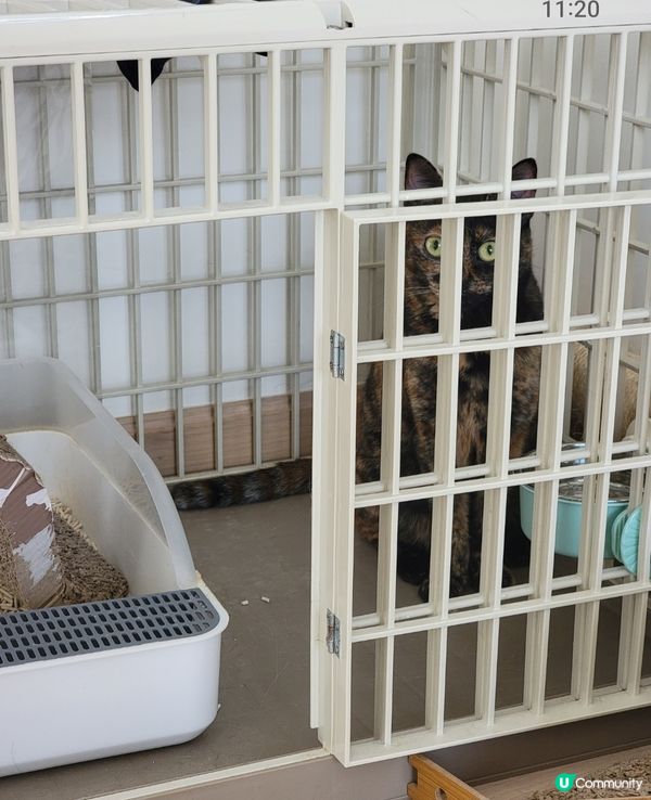 到底發生過什麼事