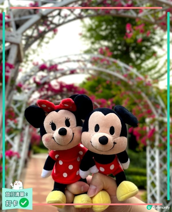 屯門黃金海岸杜鵑花海